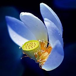 《碧海黑帆》官方演示片段 新实机或近期公开